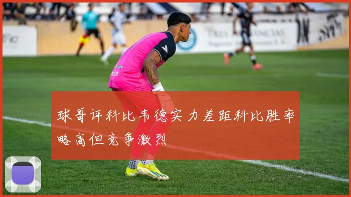 球哥评科比韦德实力差距科比胜率略高但竞争激烈