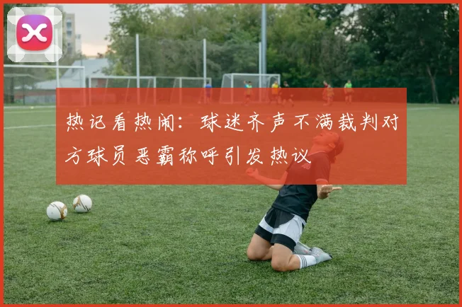 热记看热闹：球迷齐声不满裁判对方球员恶霸称呼引发热议
